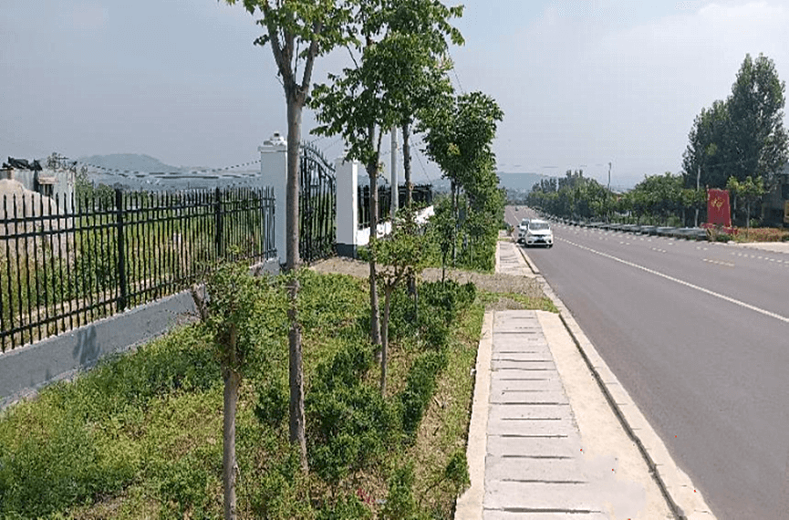 临沂蒙阴街道开启“蒙田绿谷”乡村振兴示范片区新画卷